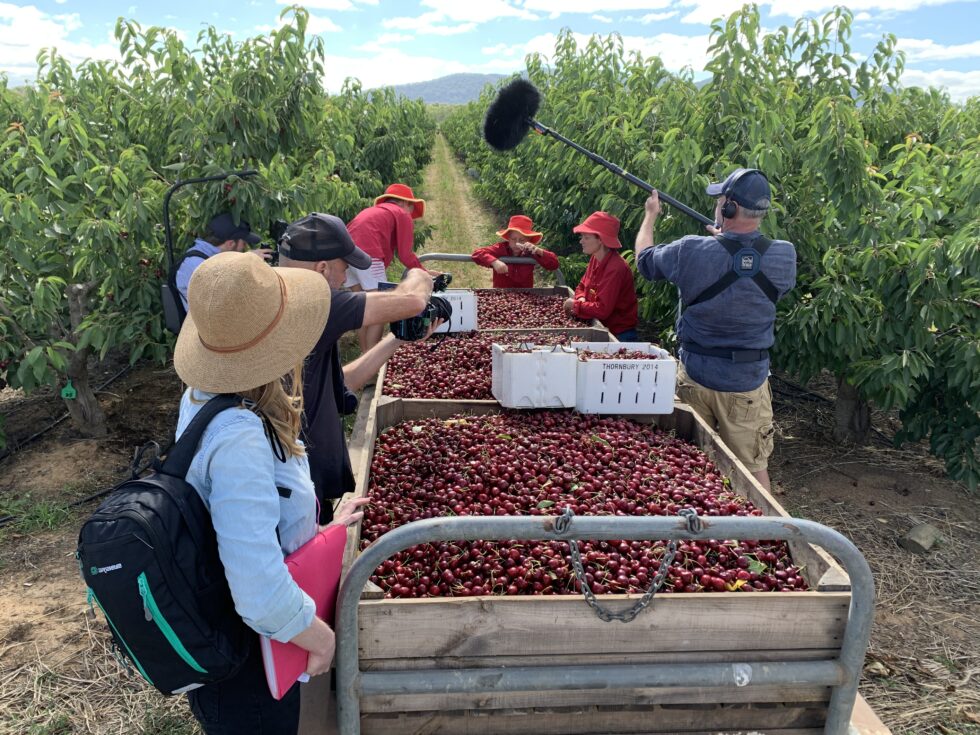 ABC TV 730pm Friday 2 July Roth Family Cherry Orchard