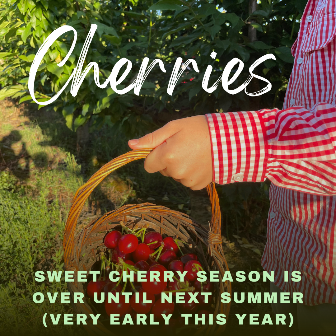 Sweet cherry season closes early in 2023